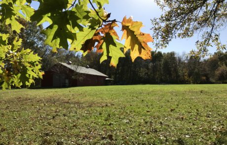 Another view from green space to barn